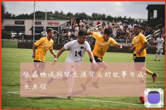 张磊畅谈网球生涯背后的故事与成长历程